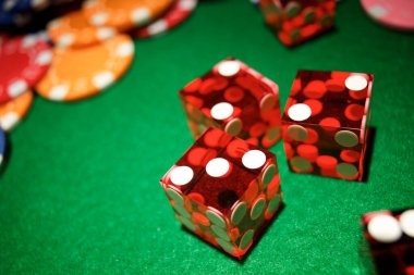 token4d Our Terms Shape Your Account
